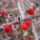 Teli_kepek_12_1311480_4126_t