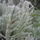 Teli_kepek_4_1311472_4706_t