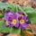 Teli_kepek_5_1311473_2891_t
