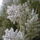Teli_kepek_6_1311474_6291_t