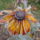 Teli_kepek_8_1311476_7865_t