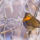 Tel_wide_00006_1312415_1409_t