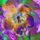 4057_b_1313373_2230_t