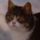 Ebredo__1313178_4809_t
