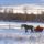 Boldog_karacsonyt_4-003_1314566_5480_t