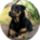 Dingir_2_1314033_9906_t