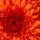 Varga_erzsikenek_mi_is_nagyon_szeretunk_teged_1314130_9519_t