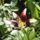Dsc04022_1315729_5748_t
