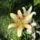 Dsc04048_1315742_6409_t