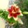 Dsc04074_1315730_8423_t