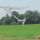 Izraeli_elodtipusok_alapjan_fejlesztett_sofar_nevu_lengyel_miniuav_1315985_7681_t