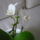 Mini_1_1316799_6780_t