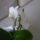 Mini_2_1316800_8762_t
