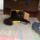 Imadlaaaaaak_1317445_5738_t