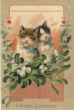 kittens-antique-christmas-postcard