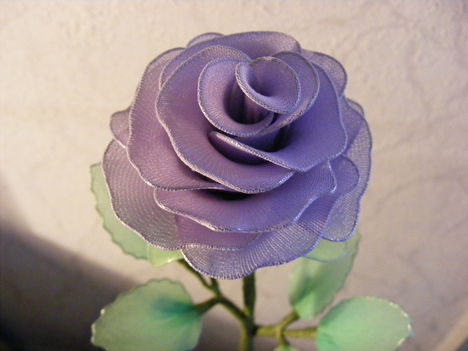 lila szálas rózsa