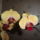 Phalaenopsis_40_1317580_3260_t