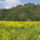 Aja_nemzeti_park_1318057_7993_t