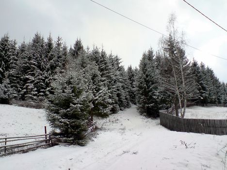 Friss hó