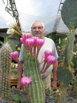 h.a.a. a várongi kaktuszgyüjtemény  57 éve  művelője.