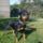 Kep0211_1319181_4084_t