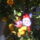 Mikulas_a_viragokgyomolcsok_tarsasagaban_1319680_4159_t