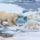 Teli_vadon_7_1319842_4183_t