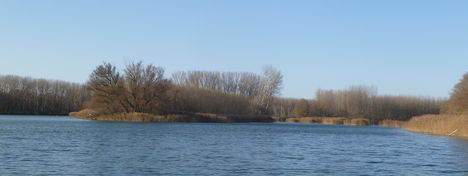 Dunasziget, a Hullámtéri ágrendszer a Denkpáli ágvéglezárás felvízi oldalán, 2011. november 28.-án