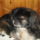 Jaj_ne_fotozz_mar_1310732_4530_t