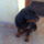 Kep_006-001_1301989_6521_t