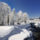 Ne_feljmert_megvaltottalakneveden_hivtalak_tegedenyem_vagyezsa431_1310661_3683_t