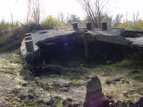 Őszi Duna 008