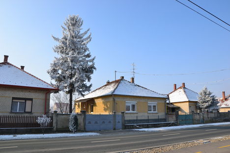 Tél 2011