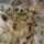 Tel_a_kertben_11_1310959_3009_t