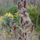 Tel_a_kertben_1_1310949_5339_t