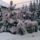 Kep073_1321101_9244_t