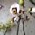 Phalaenopsis_11_1321246_5416_t