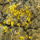 Dsc02834_1322314_8597_t