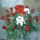 Viragok__1322324_5859_t