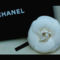 Chanel-chanel-654599_800_600