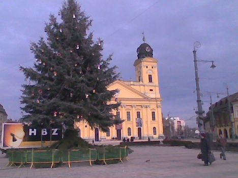 Kép009jpg Kossuth téri karácsonyfa