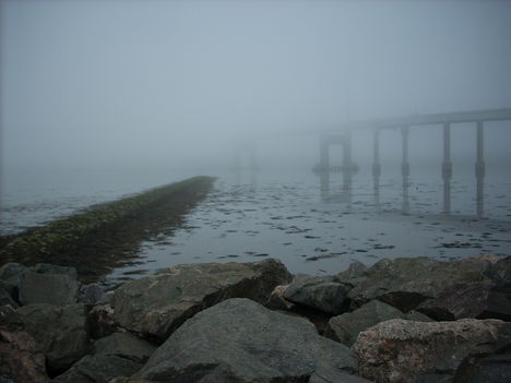 Kessock Bridge - ködben :)
