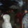 Dscf8437_1331399_2702_t