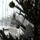 P1090034_1331775_7640_t
