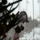 P1090038_1331778_5429_t