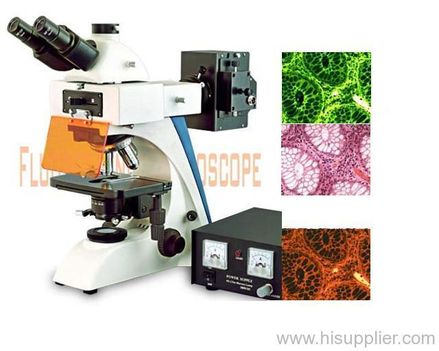 flureszencia mikroszkóp