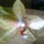 Ok_mutattak_meg_magukat_karacsonyra_2_1335237_9911_t