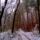 Oevbucsuztato_tura_a_zemplenben-012_1336040_1849_t