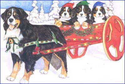 BERNI mbbernese_400x268