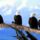 Brd32_1337592_9733_t